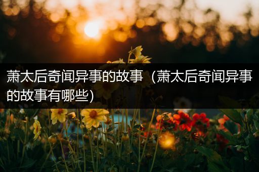 萧太后奇闻异事的故事（萧太后奇闻异事的故事有哪些）