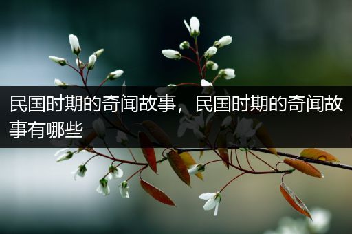 民国时期的奇闻故事，民国时期的奇闻故事有哪些