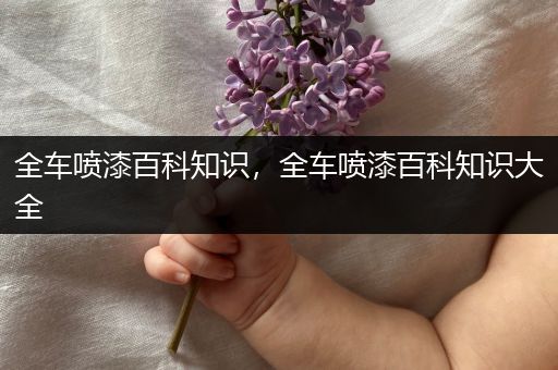 全车喷漆百科知识，全车喷漆百科知识大全