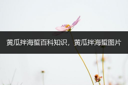 黄瓜拌海蜇百科知识，黄瓜拌海蜇图片