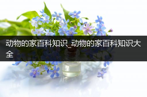 动物的家百科知识_动物的家百科知识大全