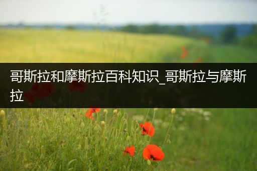 哥斯拉和摩斯拉百科知识_哥斯拉与摩斯拉