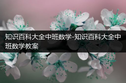 知识百科大全中班数学-知识百科大全中班数学教案