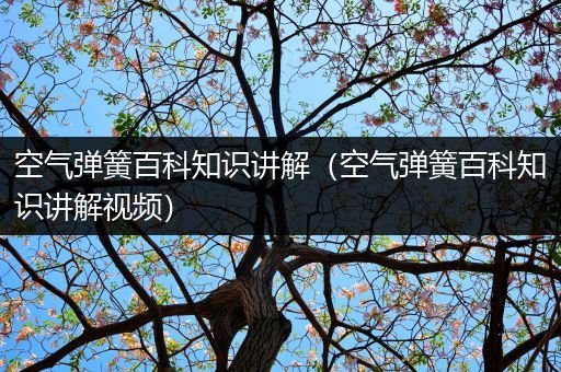 空气弹簧百科知识讲解（空气弹簧百科知识讲解视频）