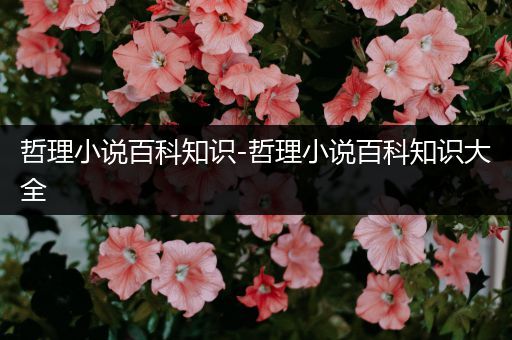 哲理小说百科知识-哲理小说百科知识大全
