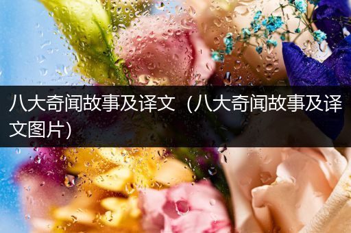 八大奇闻故事及译文（八大奇闻故事及译文图片）