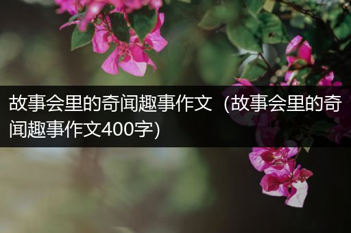 故事会里的奇闻趣事作文（故事会里的奇闻趣事作文400字）