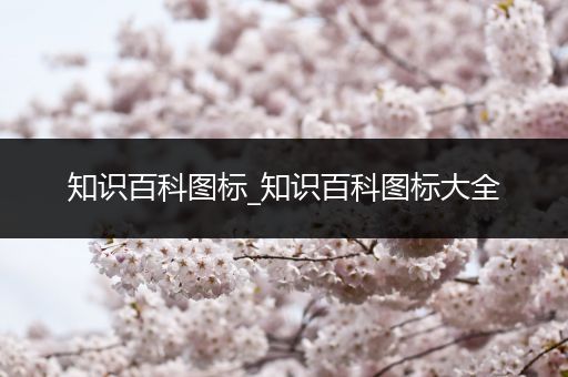 知识百科图标_知识百科图标大全