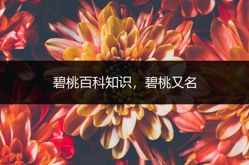 碧桃百科知识，碧桃又名