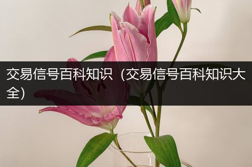 交易信号百科知识（交易信号百科知识大全）
