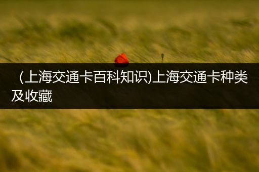 （上海交通卡百科知识)上海交通卡种类及收藏