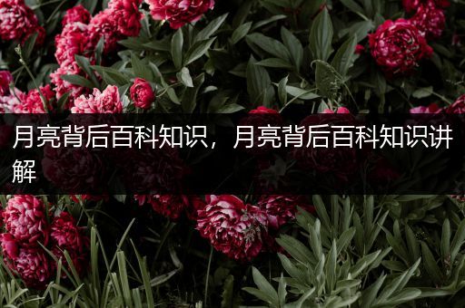 月亮背后百科知识，月亮背后百科知识讲解