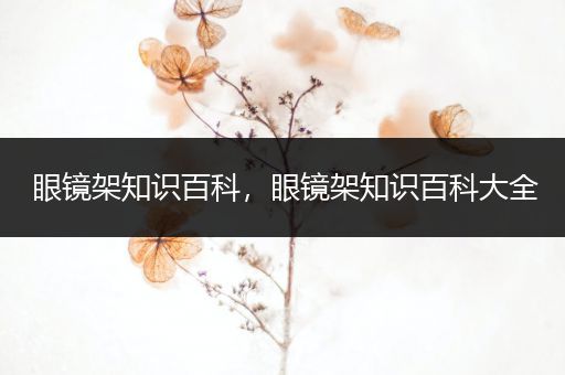 眼镜架知识百科，眼镜架知识百科大全