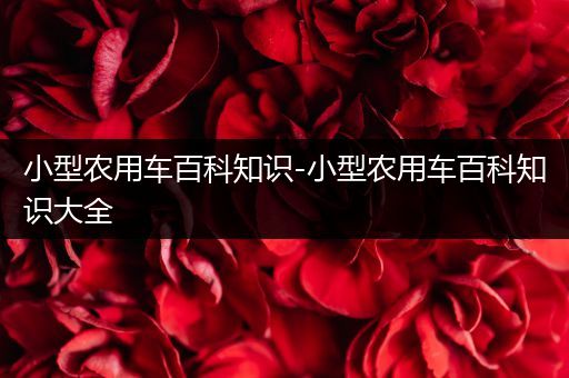 小型农用车百科知识-小型农用车百科知识大全
