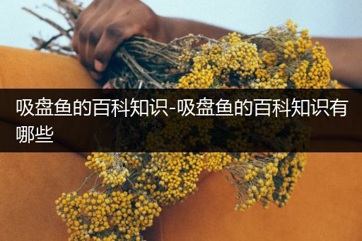 吸盘鱼的百科知识-吸盘鱼的百科知识有哪些