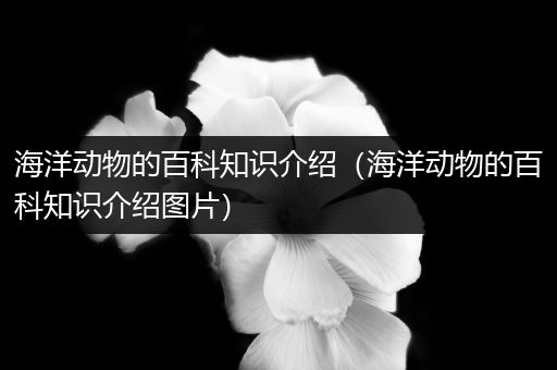 海洋动物的百科知识介绍（海洋动物的百科知识介绍图片）