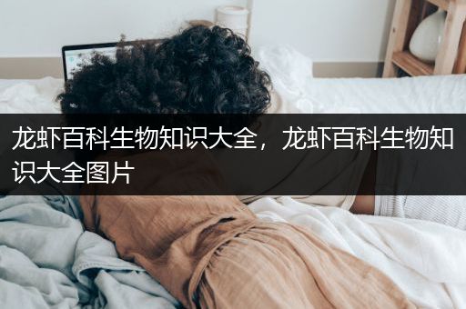 龙虾百科生物知识大全，龙虾百科生物知识大全图片