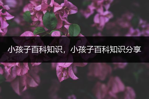 小孩子百科知识，小孩子百科知识分享