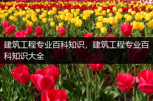 建筑工程专业百科知识，建筑工程专业百科知识大全