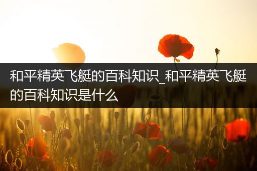 和平精英飞艇的百科知识_和平精英飞艇的百科知识是什么