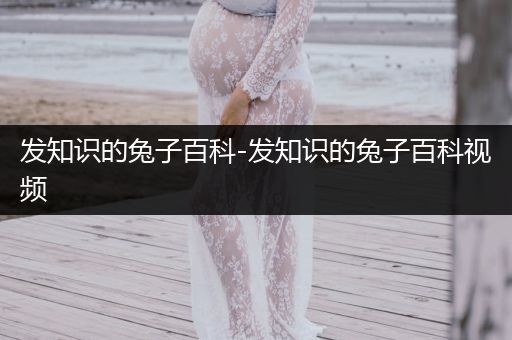 发知识的兔子百科-发知识的兔子百科视频