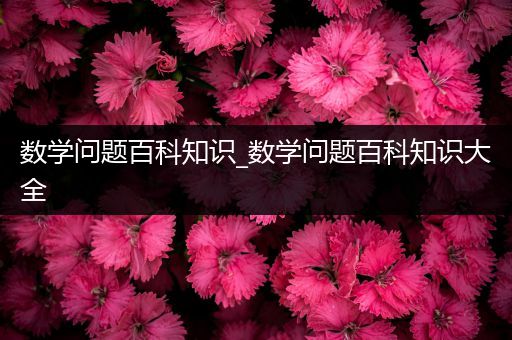 数学问题百科知识_数学问题百科知识大全