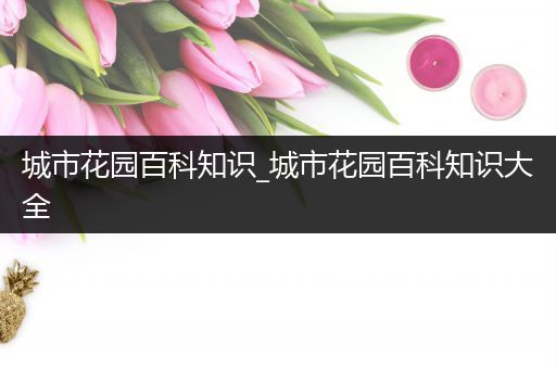 城市花园百科知识_城市花园百科知识大全