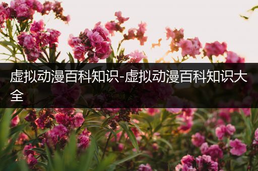 虚拟动漫百科知识-虚拟动漫百科知识大全