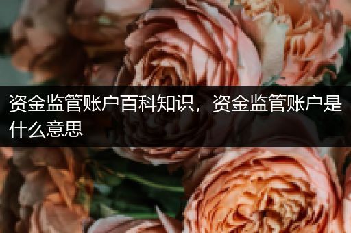 资金监管账户百科知识，资金监管账户是什么意思