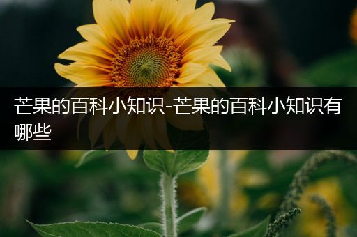 芒果的百科小知识-芒果的百科小知识有哪些