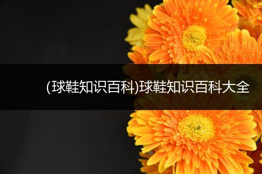 （球鞋知识百科)球鞋知识百科大全