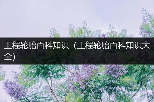 工程轮胎百科知识（工程轮胎百科知识大全）