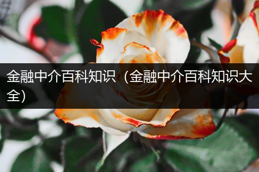 金融中介百科知识（金融中介百科知识大全）