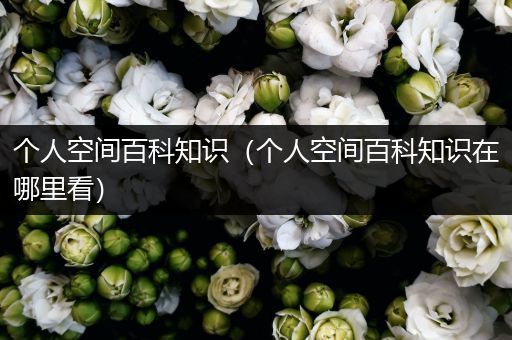 个人空间百科知识（个人空间百科知识在哪里看）