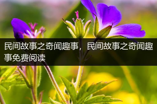 民间故事之奇闻趣事，民间故事之奇闻趣事免费阅读