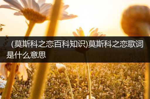 （莫斯科之恋百科知识)莫斯科之恋歌词是什么意思