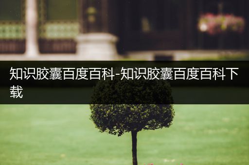 知识胶囊百度百科-知识胶囊百度百科下载