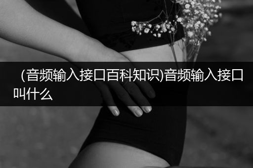 （音频输入接口百科知识)音频输入接口叫什么