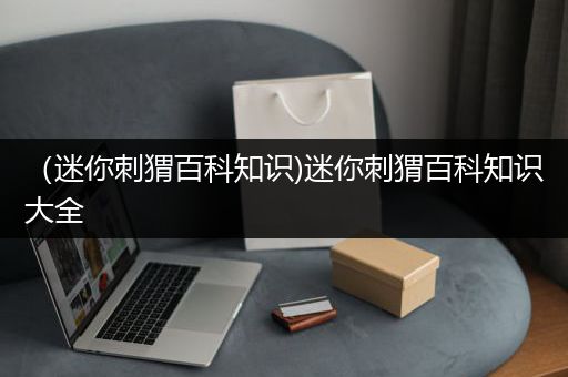 （迷你刺猬百科知识)迷你刺猬百科知识大全
