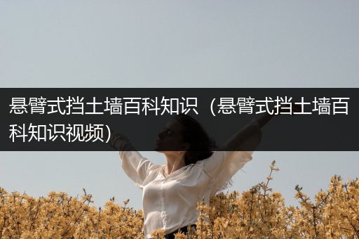 悬臂式挡土墙百科知识（悬臂式挡土墙百科知识视频）