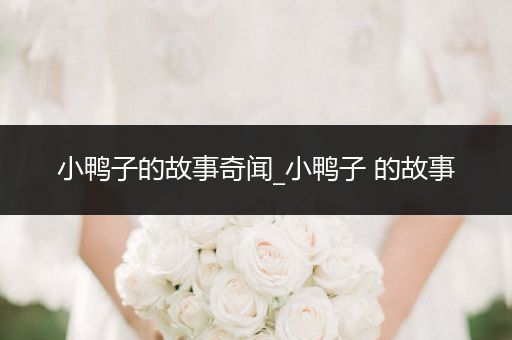 小鸭子的故事奇闻_小鸭子 的故事