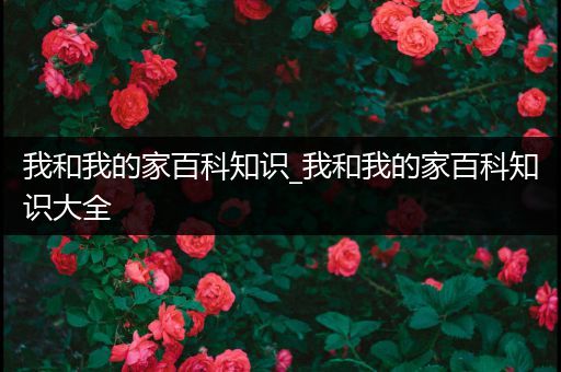 我和我的家百科知识_我和我的家百科知识大全