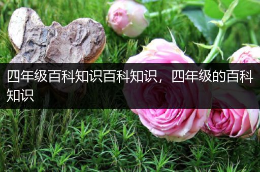 四年级百科知识百科知识，四年级的百科知识