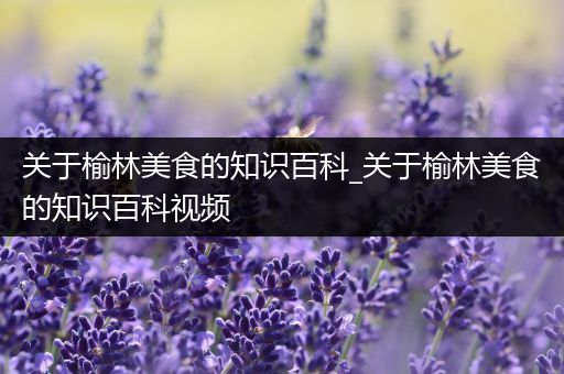关于榆林美食的知识百科_关于榆林美食的知识百科视频