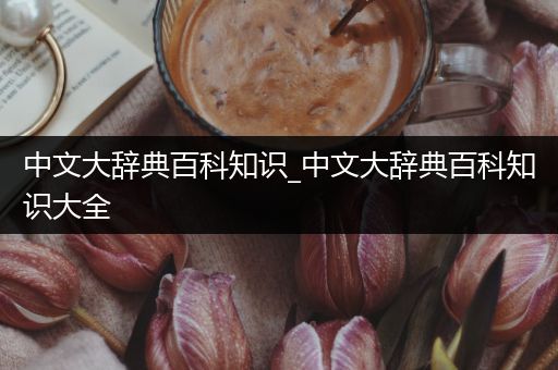 中文大辞典百科知识_中文大辞典百科知识大全