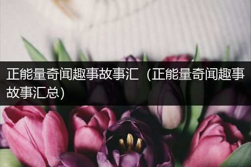 正能量奇闻趣事故事汇（正能量奇闻趣事故事汇总）
