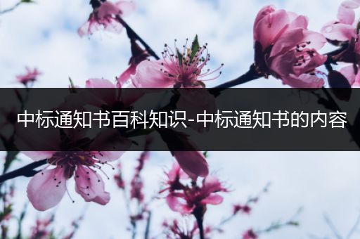 中标通知书百科知识-中标通知书的内容