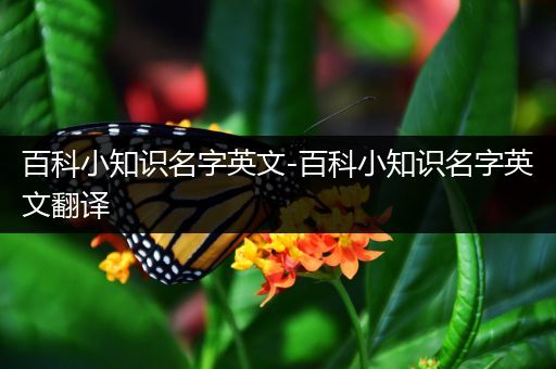 百科小知识名字英文-百科小知识名字英文翻译
