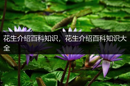 花生介绍百科知识，花生介绍百科知识大全