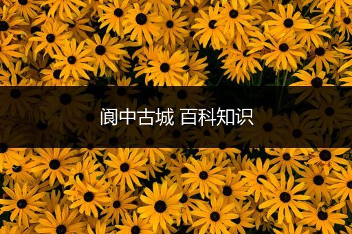 阆中古城 百科知识